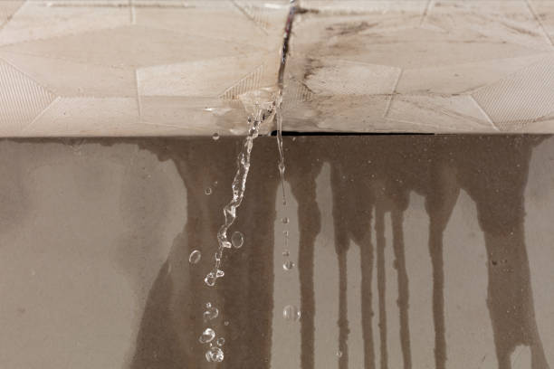 Professional Water Extraction technician working in Saint Joseph, TN